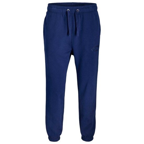 Jack & Jones Ανδρικό παντελόνι φόρμας Jack & Jones Ανδρικό παντελόνι φόρμας